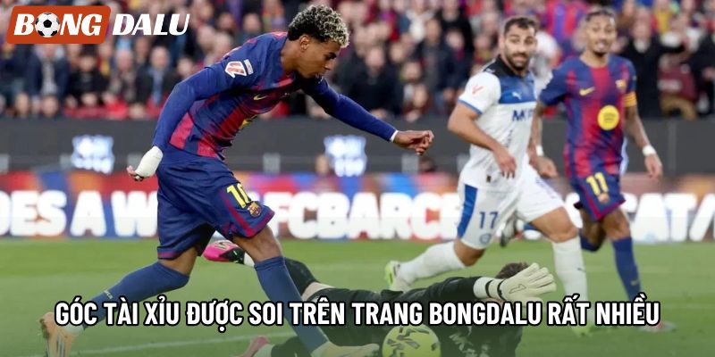 Góc Tài Xỉu được soi trên trang bongdalu rất nhiều Góc Tài Xỉu được soi trên trang bongdalu rất nhiều