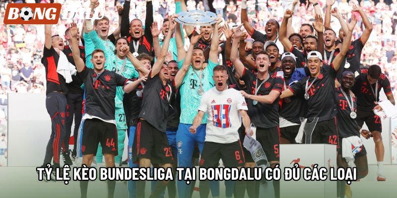 Tỷ lệ kèo Bundesliga tại bongdalu có đủ các loại Tỷ lệ kèo Bundesliga tại bongdalu có đủ các loại