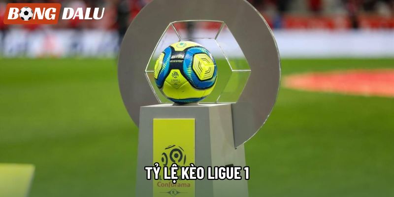 Tỷ Lệ Kèo Ligue 1: Cơ Hội Đầu Tư Sinh Lời Mùa Giải 2026